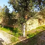 Vila Cosseri Rossa-dorothea And Cosseri Rossa-penelope, With Own Shared Pool *