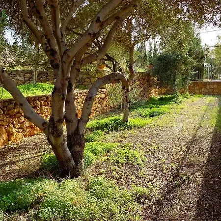 빌라 Cosseri Rossa-dorothea And Cosseri Rossa-penelope, With Own Shared Pool