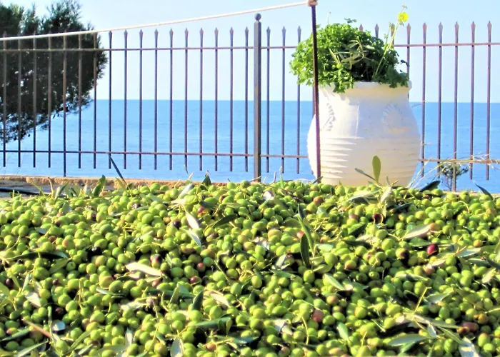 Vila Cosseri Rossa-dorothea And Cosseri Rossa-penelope, With Own Shared Pool *